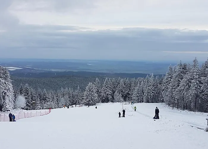 Daire Annett & Matthias Hahnenklee